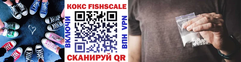 Cocaine FishScale  где купить наркоту  Новое Девяткино 