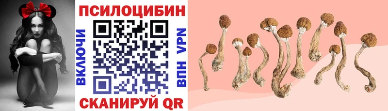 Галлюциногенные грибы GOLDEN TEACHER  купить  цена  Новое Девяткино 